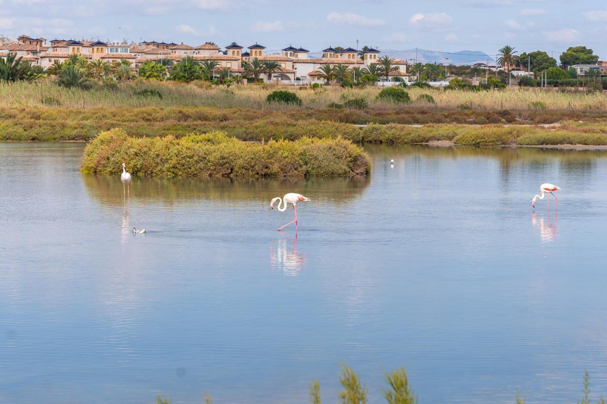 Menabrea Holiday House Near The Beach And Airport Santa Pola Buitenkant foto